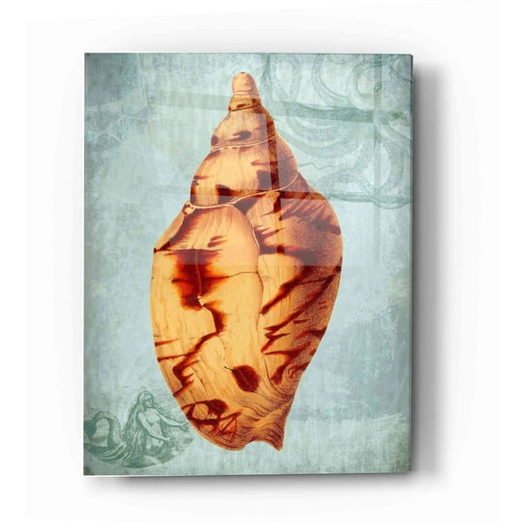 Epic Art 'Coastal Life Collection 2 d' by Fab Funky Acrylic Glass Wall Art, 16"x24"