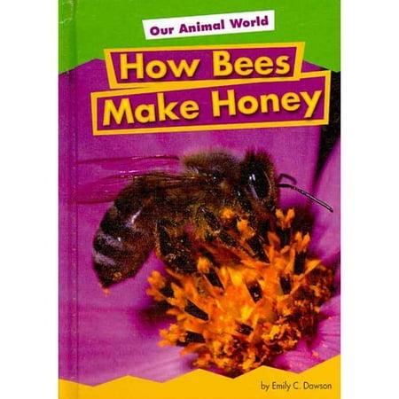 How Bees Make Honey - Walmart.com