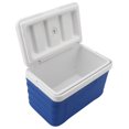 thumbnail image 2 of Boîte de Refroidissement pour Insuline Portable à Grande Capacité de Charge Réfrigérateur de Refroidissement pour Insuline pour Pique-Nique Pêche en Rivière Camping Type2 3,6 L, 2 of 20