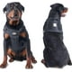 thumbnail image 3 of Adjustable training vest for dogs, comfortable dog vest, harness for large dogs, multicolored Ref: 6239, 3 of 5