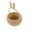 Brown#002, variant on Easter Basket Bunny Rabbit Ears Hand Woven Wicker Rattan Picnic Egg Gathering Basket Portable Storage Organizer Party Decor Gift for Egg Hunt Supplies