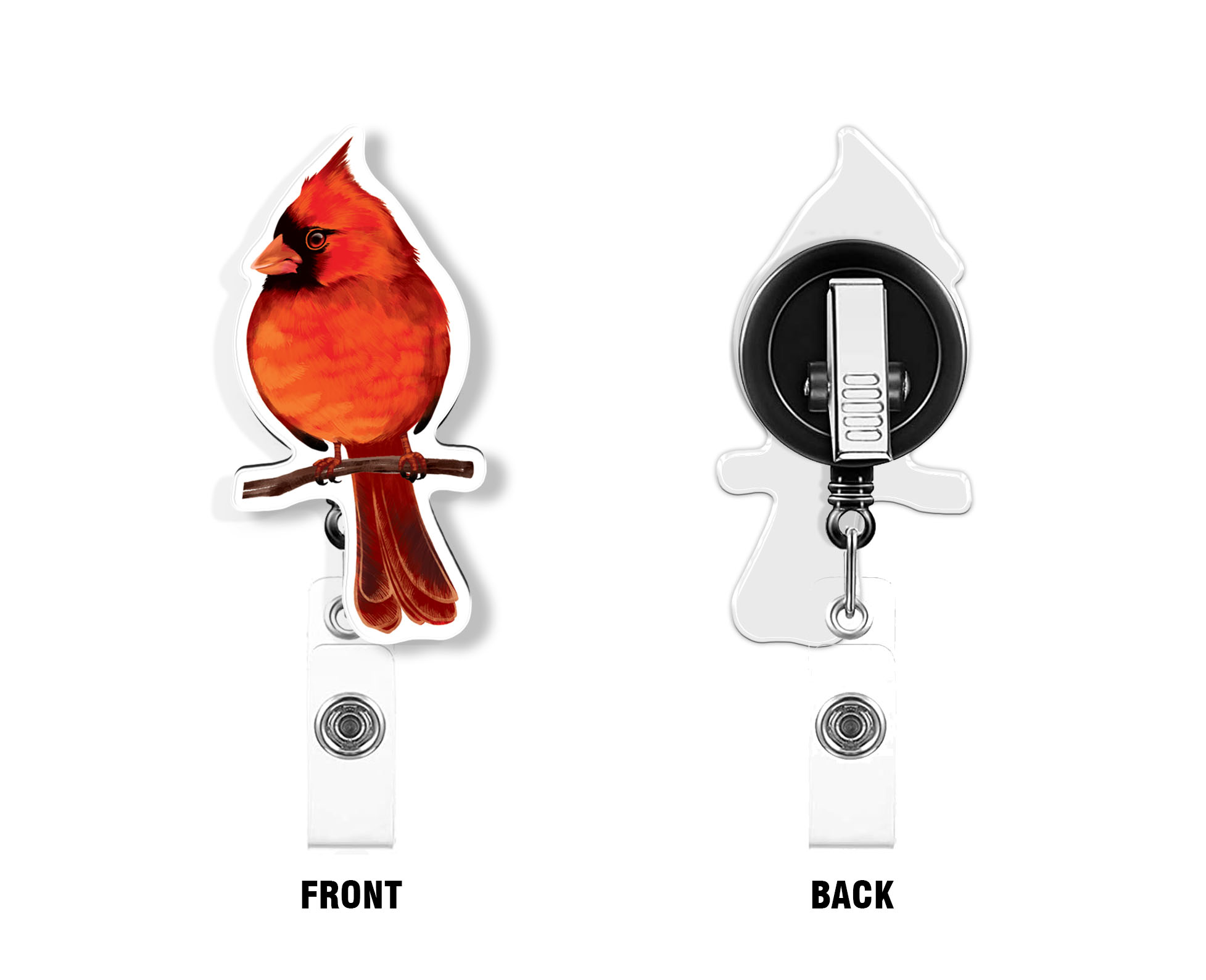 WIRESTER Acrylic Reel ID Holder Belt Clip Badge Retractable with Alligator  Clip for Office Worker Medical Staffs, Nurse, Doctor, Teacher, Student -  Cockatiel Bird 