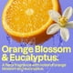 thumbnail image 5 of ATTITUDE Super Leaves Science Natural Shower Gel Energizing Orange Leaves 16 oz 473 ml, 5 of 8