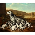 thumbnail image 2 of Pieter van der Hulst 23x20 Black Ornate Framed Double Matted Museum Art Print Titled: Dalmatian Dog with Puppies (After 1700), 2 of 5
