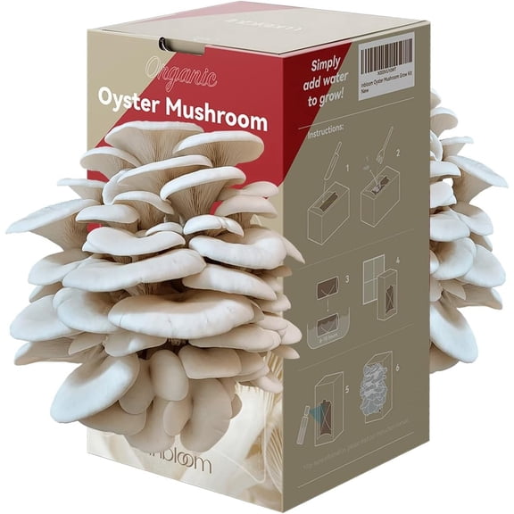 Organic Oyster Mushroom Growing Kit with Spray, Harvest Fresh Mushrooms at Home, Beginner Friendly & Easy to Use, Unique Gardening Gift for Holiday, Handmade in New Jersey, USA