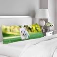 thumbnail image 2 of ABPHOTO White Cat Green Grass Pillow Covers Pillowcase 20x60 inch Funny Kitten Body Pillow Case Protector, 2 of 2