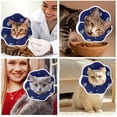 thumbnail image 7 of Miaocao Soft Adjustable Cat Cone Collar, Comfortable Cat Recovery Collar, 7 of 7