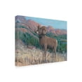 thumbnail image 2 of Trademark Fine Art 'Animals of the West IV' Canvas Art by Tim O'Toole, 2 of 3