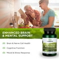 thumbnail image 2 of Suplemento Swanson Lion's Mane Mushroom 500 mg 60 cápsulas, 2 of 5
