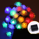 thumbnail image 5 of 30pcs LED 6M Luces solares de cadena Luces románticas de Rose para jardín, hogar, árbol de navidad MFZFUKR CPB-US-DYP913-1, 5 of 5