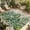 Light Beige Grass Green Forest Green, variant on Summer Tropical Leaves Outdoor Rug for Patio/Deck/Porch, Non-Slip Large Area Rug 5 x 7 Ft, Vintage Botanical Green Palm Indoor Outdoor Rugs Washable Area Rugs, Reversible Camping Rug Carpet Runner