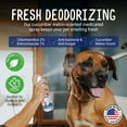 thumbnail image 5 of Alpha Dog Series Chlorhexidine Spray for Dogs & Cats, Medicated Skin Relief, 8 fl oz, 5 of 7