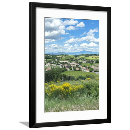 Rhone Valley, Chateauneuf du Pape, France Framed Print Wall Art By Jim
