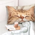 thumbnail image 4 of Balery Sleeping Cat In Blanket Funda de Cojín Estampada, Regalos para Mujeres, Regalos de Amor para Ella, Regalos para Novia o Esposa, Funda de Almohada-14"x20", 4 of 6