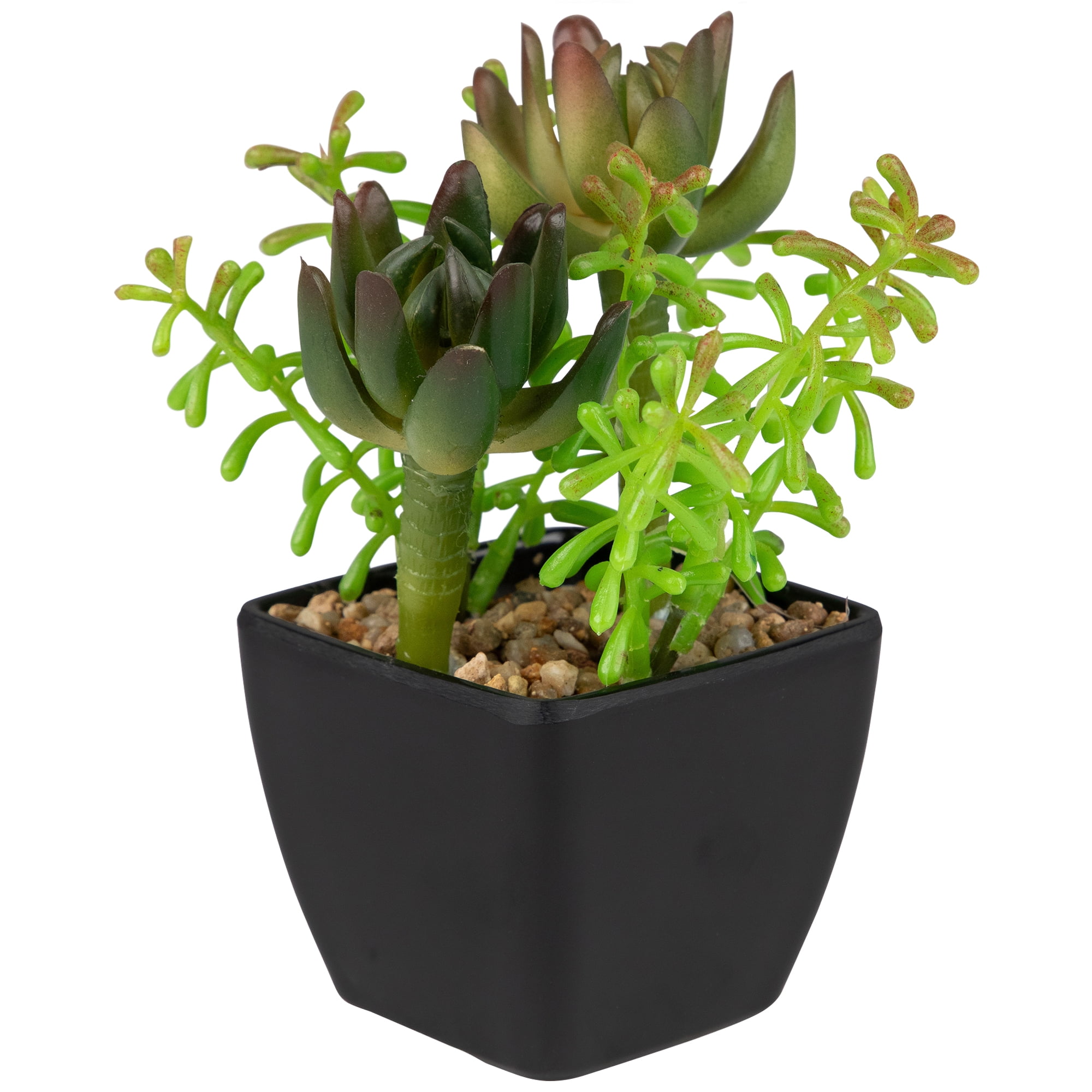 Northlight Potted Artificial Succulent Arrangement - 6"