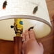 thumbnail image 5 of 50 piezas de cucarachas falsas de broma, juguetes de broma de plástico de apariencia real, insectos aterradores, bichos realistas, regalos de broma, cucaracha novedosa para fiesta de Halloween, 5 of 5