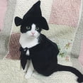 thumbnail image 1 of Disfraz de bruja/mago con capucha para gato y perro, Halloween, 1 of 9