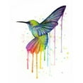 thumbnail image 3 of Shvartsur, Olga 12x14 Black Modern Framed Museum Art Print Titled - Rainbow Hummingbird, 3 of 5