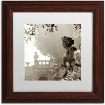 Trademark Fine Art "Tuscany VIII" Canvas Art by Alan Blaustein, White Matte, Wood Frame