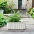 thumbnail image 6 of Lucia Cement Rectangular Pot, 6 of 9