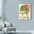 thumbnail image 3 of Trademark Fine Art 'Botanical Fantasy II' Canvas Art by Unknown, 3 of 4