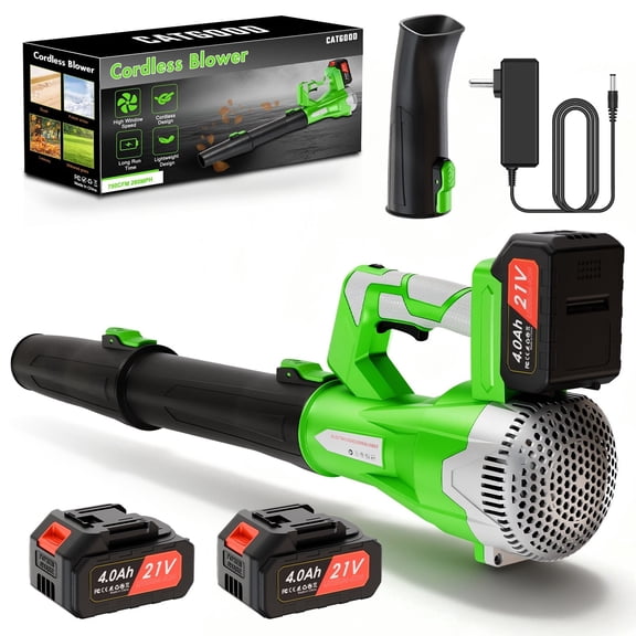 21V Cordless Leaf Blower, 750 CFM 200 MPH, 6 Speed, 2 x 4.0Ah Batteries & Fast Charger, Lightweight Handheld Blower for Yard, Snow & Debris, Green