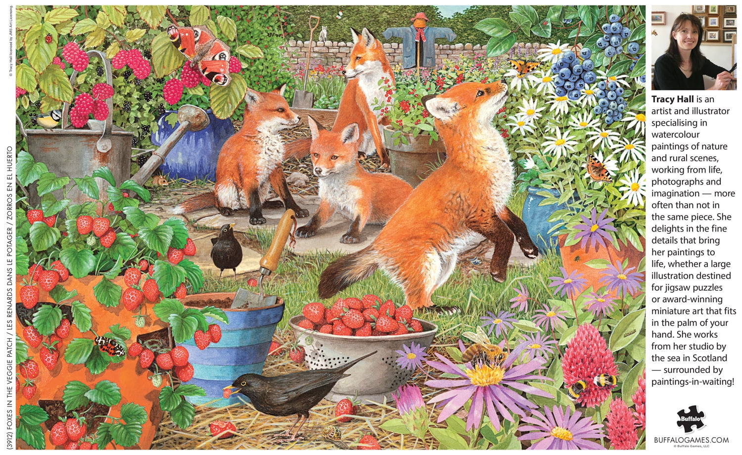 500 BONJOUR - FRENCH