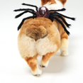 thumbnail image 2 of De Halloween Ajustable Mascota Halloween Pecho Espalda Simulación Araña Transformación Disfraz seitruly HA044312-04, 2 of 6