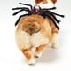 thumbnail image 2 of De Halloween Ajustable Mascota Halloween Pecho Espalda Simulación Araña Transformación Disfraz Inevent HA044312-04, 2 of 6