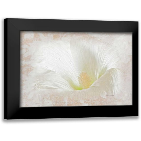 Murdock, Ramona 14x11 Black Modern Framed Museum Art Print Titled - Hollyhock Illusion