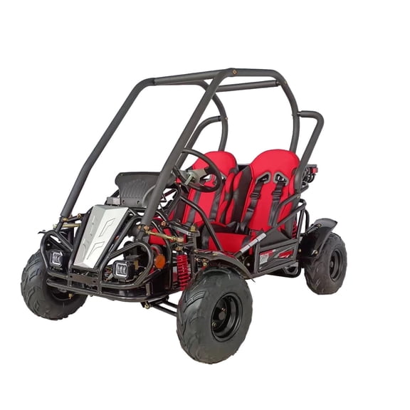 HHH Limited Edition 125cc Go Kart GKT125-9 Big Gokart with 3 Speed, 2 Seats, Large Size Kart for Youth (Black-Red) (Factory Packaged)