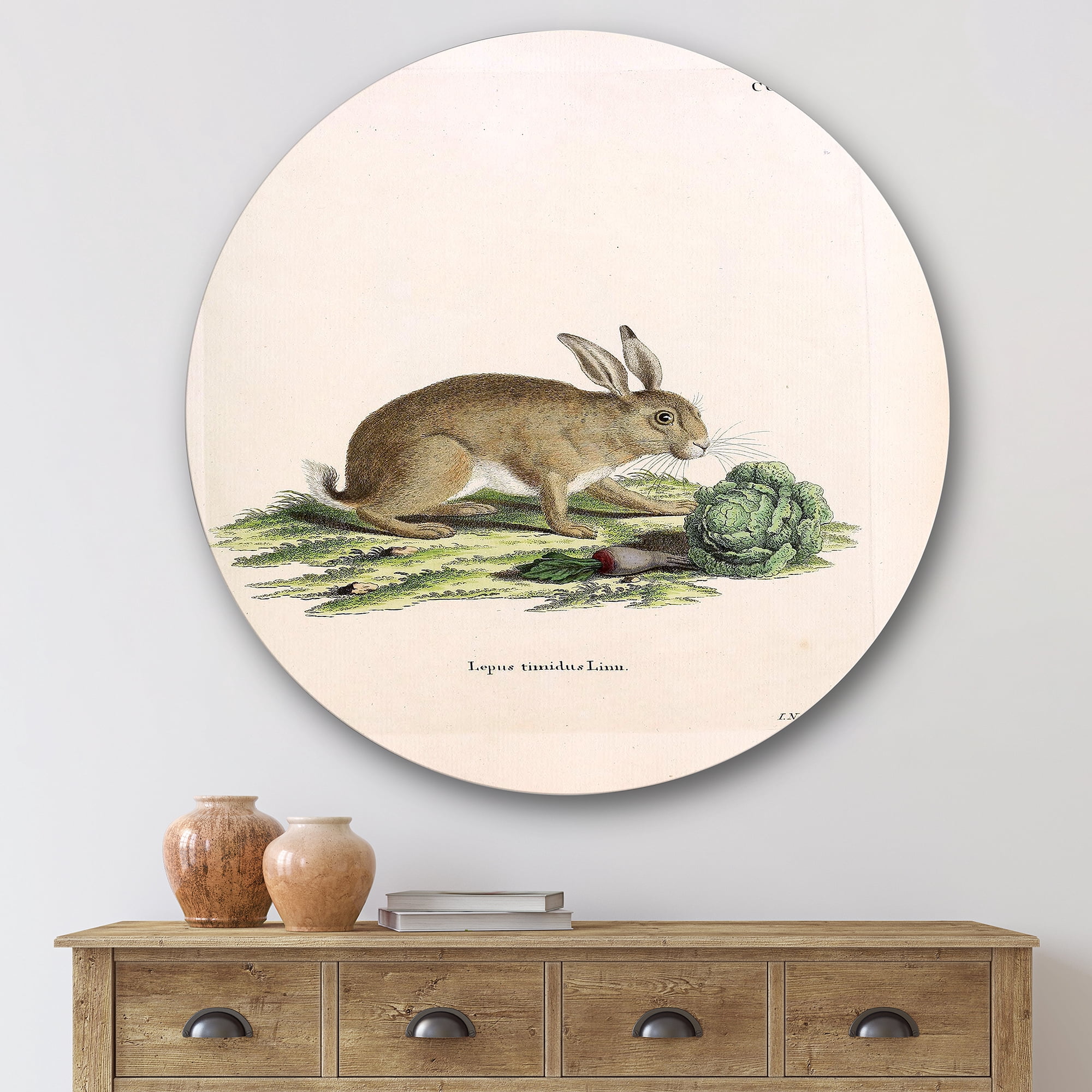Designart 'Ancient Rabbits In Earth Tones' Farmhouse Circle Metal Wall Art 29x29 - Disc of 29
