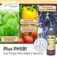 thumbnail image 4 of ProBio Balance Plus, Probiotic Mother Culture and Soil Inoculant, 1 Liter, 4 of 6