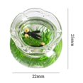thumbnail image 3 of en miniatura de cristal, dorada, pequeña, accesorios de , acuario de escritorio para decoración Hugo Cuenco en miniatura, 3 of 10