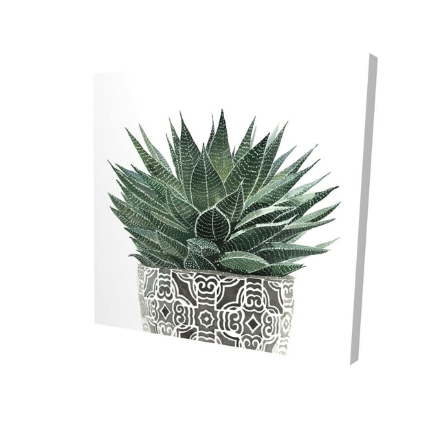 Zebra plant succulent - 36"x36" canvas - Print on demand