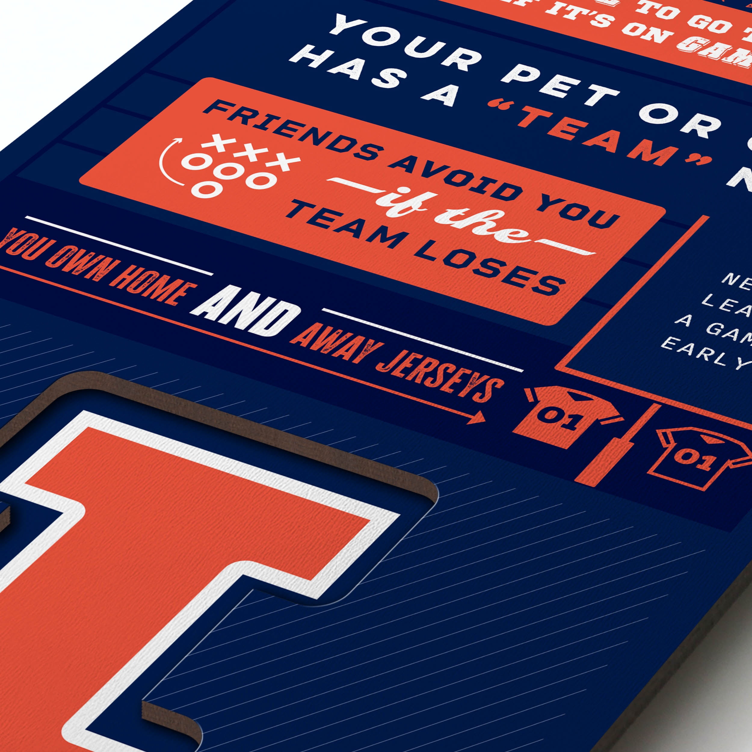 YouTheFan NCAA Illinois Fighting illini 3D Top 10 Wall Art