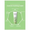 thumbnail image 2 of SNP Prep Cicaronic Soothing Cream, 2 of 3