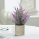 thumbnail image 1 of Pequeña Planta de Lavanda Artificial En Maceta: Flores Artificiales para Decorar El Hogar, La Oficina, El Baño y La Sala de Estar., 1 of 6