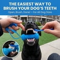 thumbnail image 6 of Dual-Action Canine Dental Prop, Dog Dental Chew Toy for Easier Teeth Brushing, Pet Oral Care for Small, Medium and Large Dogs (2pcs), 6 of 9