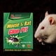 thumbnail image 5 of Mouse Catcher Plegable no tóxico para la herramienta doméstica para matar roedores (tamaño grande), 5 of 9