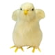 thumbnail image 1 of Maojin Toy Story Juguetes Juguete De Peluche De Pollo Simulado Interacción Entre Padres E Hijos Modelado De Felpa Juguete De Peluche De Pollo Adornos Decorativos, 1 of 3