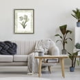 thumbnail image 3 of Stupell Industries Coastal Pale Green Tulip Trio Brown Floating Frame Canvas Art, 17 x 21, by Nan, 3 of 8