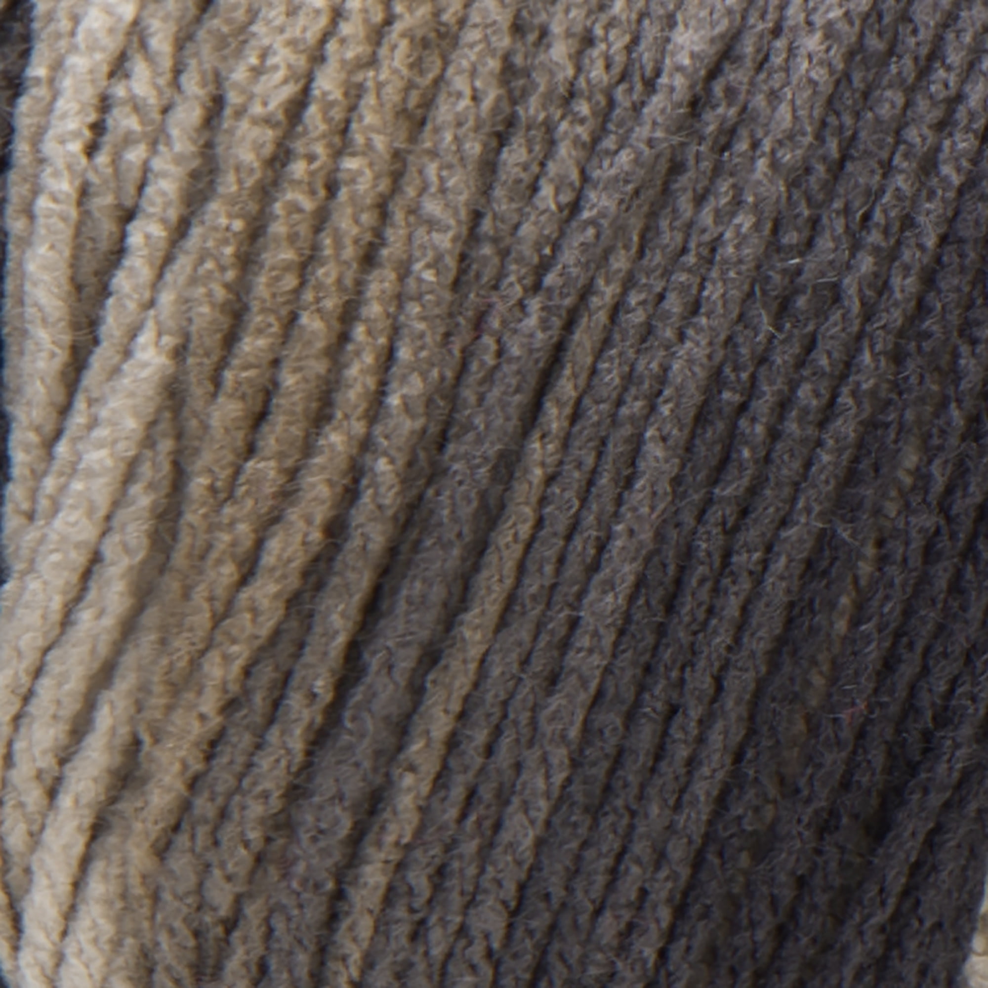 Red Heart® Super Saver Ombre™ #4 Worsted Acrylic Yarn, Hickory 10oz/283g #482 Yards (2 Pack)