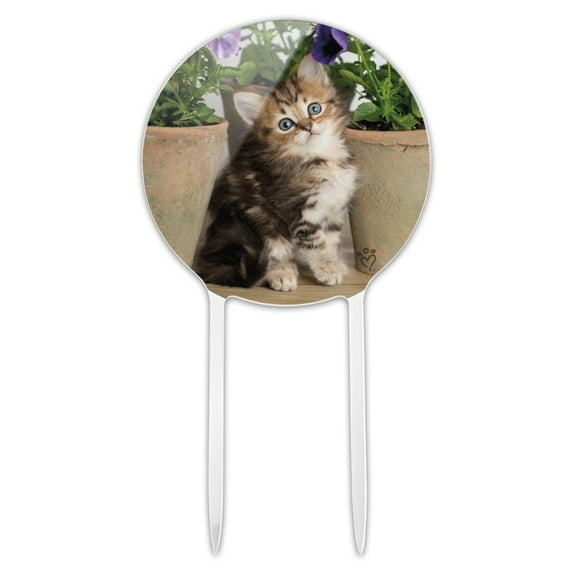 Acrylic Ragdoll Tiffany Kitten Cat Flower Pots Cake Topper Party Decoration for Wedding Anniversary Birthday Graduation