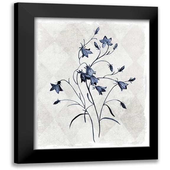 Robinson, Carol 12x14 Black Modern Framed Museum Art Print Titled - Harlequin Botanical II