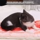 thumbnail image 5 of Manta suave de felpa para mascotas con modelado de tocino manta para dormir para cachorros almohadilla para mascotas durmiendo para perros gatos entrenamiento ANGGREK Otros, 5 of 8