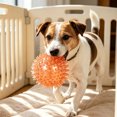 thumbnail image 4 of Squeaky Spiky Dog Ball Toy Floating Bouncy Dental Teeth Cleaning Chew Ball for Small Medium Dogs Interactive Play Ball Toy,1pack,Orange, 4 of 4