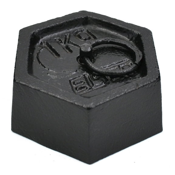 Iron Masses - Hexagonal with Lifting Ring - 1000g - Eisco Labs