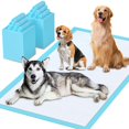 thumbnail image 1 of Almohadillas para orinar para cachorros LIYINGSER, 31 x 47 cm, 40 unidades, superabsorbentes, 1 of 7