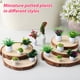 thumbnail image 5 of 13 PCS Plantas de casa de muñecas Plantas de bonsai en miniatura Mini plantas en macetas modelos de vegetación falsa, 5 of 5
